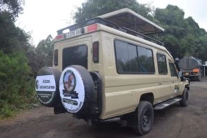 6 days tanzania family safari| Kizza Adventure